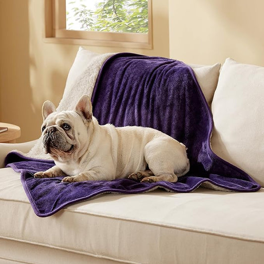 Bedsure Waterproof Dog Blankets for Medium Dogs - Medium Cat Blanket Washable for Couch Protection, Sherpa Fleece Puppy Blanket, Soft Plush Reversible Throw Furniture Protector, 30"X40", Eggplant