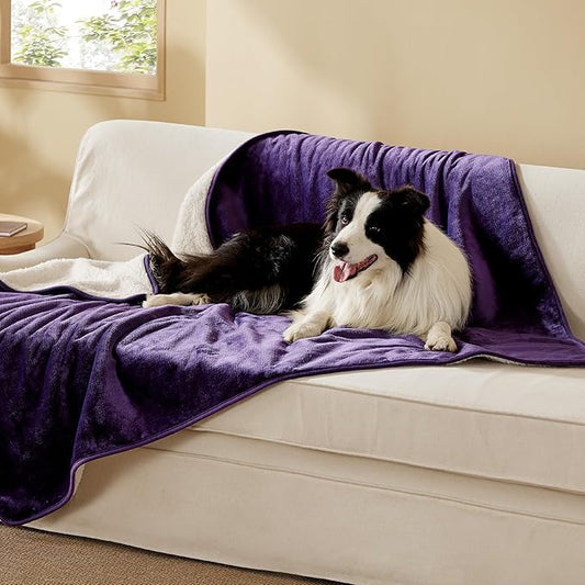 Bedsure Waterproof Dog Blankets for Extra Large Dogs - XL Cat Blanket Washable for Couch Protection, Sherpa Fleece Puppy Blanket, Soft Plush Reversible Throw Furniture Protector, 50x60, Eggplant